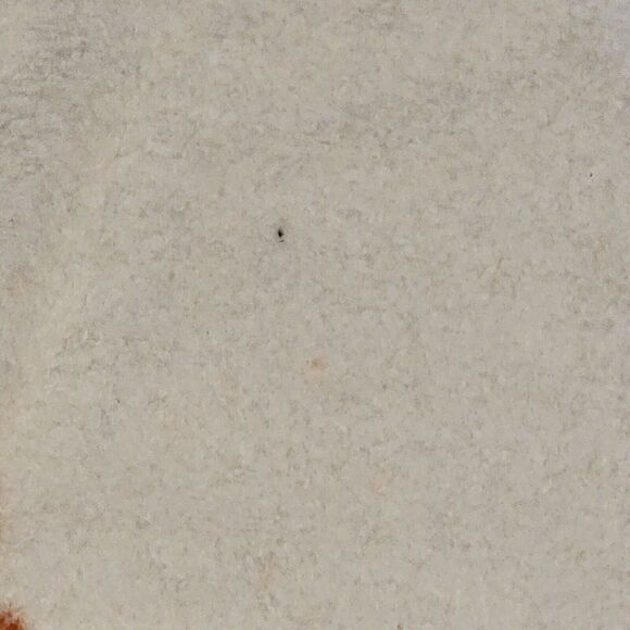 Biederlack University of Texas Longhorns UT Football Throw Blanket 50x47 - Picture 6 of 6